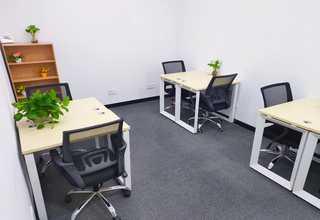 坪山区正实打码机