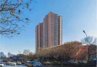 山东541日东胶带批发