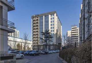 西北丁香酚水门汀