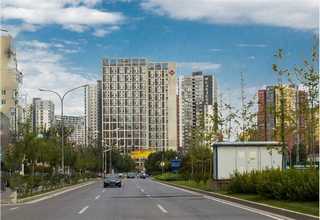 贵州手工宠物零食好选择